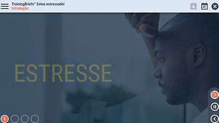 TrainingBriefs® I’m Stressed! (Portuguese-Brazilian)