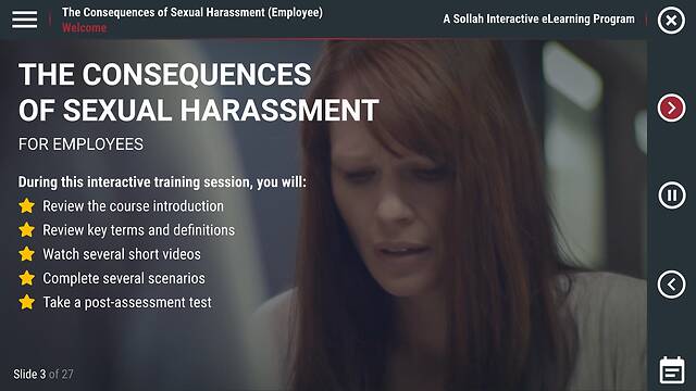 The Consequences of Sexual Harassment™ (DE Employee)